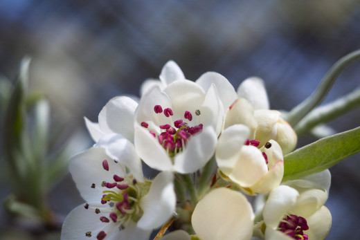 1756692 (a): :5760x3840